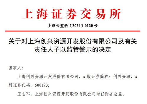 V觀財報｜創興資源財報信披不準遭監管警示，信息服務業務成焦點